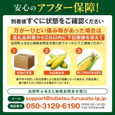 【2026年先行受付】照之家商店 鮮度抜群とうもろこし30本_tb21-007