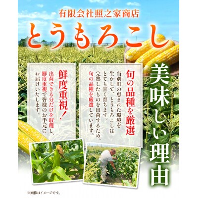 【2025年先行受付】照之家商店鮮度抜群とうもろこし30本