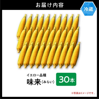 【2026年先行受付】照之家商店 鮮度抜群とうもろこし30本_tb21-007