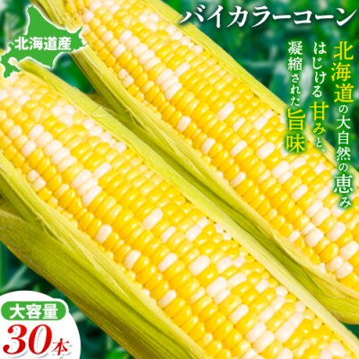 【2025年先行受付】照之家商店鮮度抜群 とうもろこし「黄色と白粒のバイカラーコーン」30本
