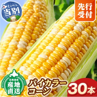 【2026年先行受付】照之家商店とうもろこし「黄色と白粒のバイカラーコーン」30本_tb21-005