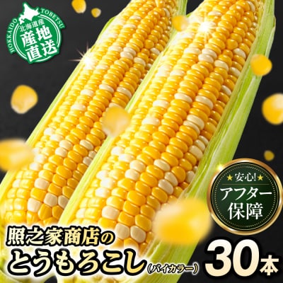 【2026年先行受付】照之家商店とうもろこし「黄色と白粒のバイカラーコーン」30本_tb21-005