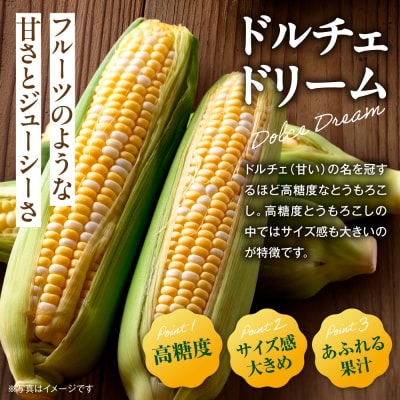 【2026年先行受付】照之家商店とうもろこし「黄色と白粒のバイカラーコーン」30本_tb21-005