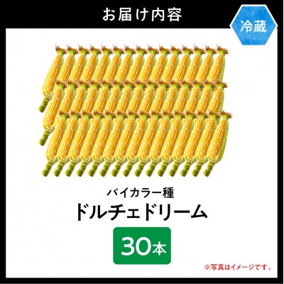 【2026年先行受付】照之家商店とうもろこし「黄色と白粒のバイカラーコーン」30本_tb21-005