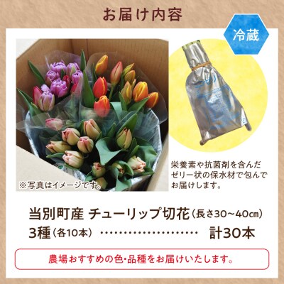 チューリップ切花30本入り(3品種×各10本)_tb11-026