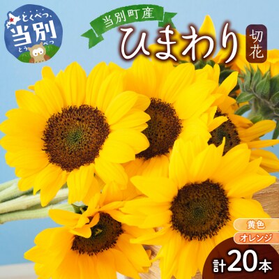 ひまわり切花20本入り(黄色、オレンジ 計20本)_tb11-020