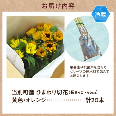 ひまわり切花20本入り(黄色、オレンジ 計20本)_tb11-020