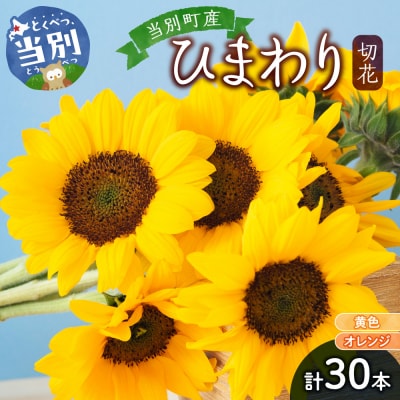 ひまわり切花30本入り(黄色、オレンジ 計30本)_tb11-021