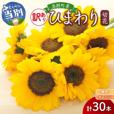 【訳あり】ひまわり切花30本入り(黄色、オレンジ 計30本)_tb11-022