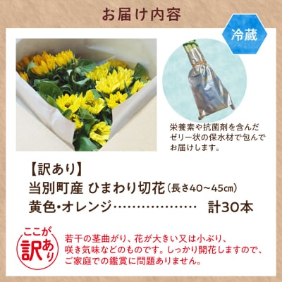 【訳あり】ひまわり切花30本入り(黄色、オレンジ 計30本)_tb11-022