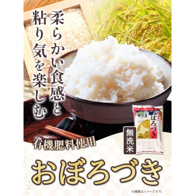 【令和6年産先行受付】きやじファーム　無洗米「おぼろづき」5kg