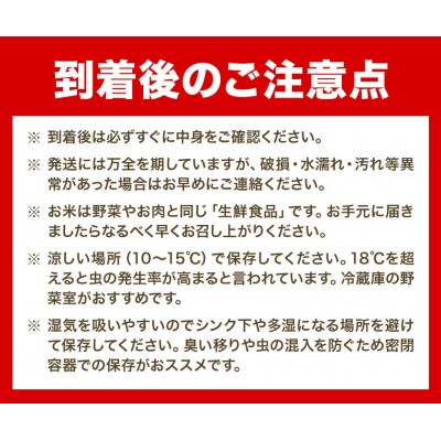 【令和6年産先行受付】きやじファーム　無洗米「おぼろづき」5kg