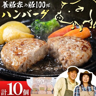 養豚家の豚100%ハンバーグセット