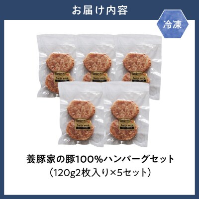 養豚家の豚100%ハンバーグセット_tb02-018