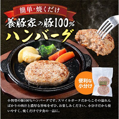 養豚家の豚100%ハンバーグセット