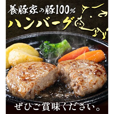 養豚家の豚100%ハンバーグセット