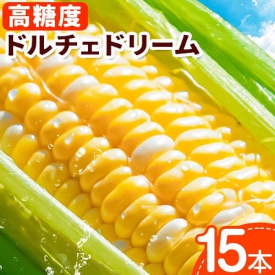 【令和8年発送先行受付】野口農園　高糖度とうもろこし「ドルチェ・ドリーム」