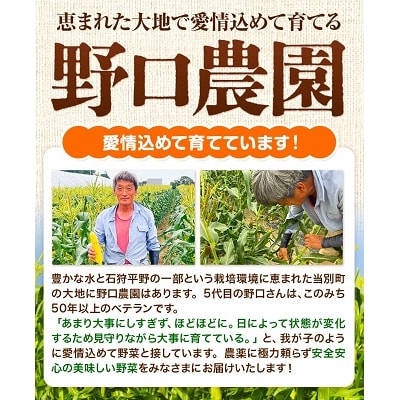 【令和8年発送先行受付】野口農園　高糖度とうもろこし「ドルチェ・ドリーム」