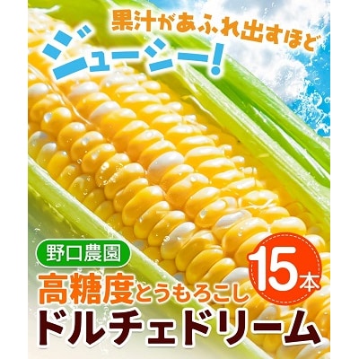 【令和8年発送先行受付】野口農園　高糖度とうもろこし「ドルチェ・ドリーム」