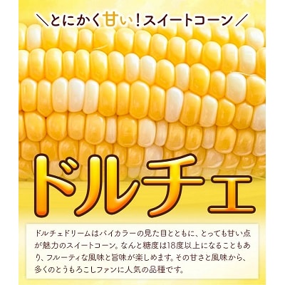 【令和8年発送先行受付】野口農園　高糖度とうもろこし「ドルチェ・ドリーム」