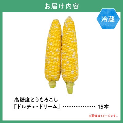 【令和8年発送先行受付】野口農園　高糖度とうもろこし「ドルチェ・ドリーム」_tb12-012