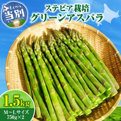 ステビア栽培グリーンアスパラ1.5kg高橋幸治≪5月下旬-6月中旬頃出荷≫_tb34-001