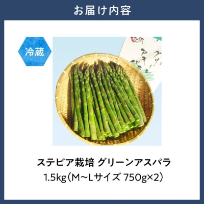 ステビア栽培グリーンアスパラ1.5kg高橋幸治≪5月下旬-6月中旬頃出荷≫_tb34-001