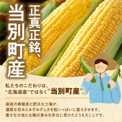 【2026年先行受付】照之家商店とうもろこし「黄色と白粒のバイカラーコーン」10本_tb21-004
