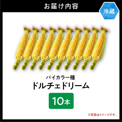 【2026年先行受付】照之家商店とうもろこし「黄色と白粒のバイカラーコーン」10本_tb21-004