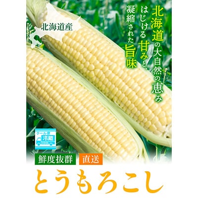 【2026年先行受付】照之家商店鮮度抜群とうもろこし10本