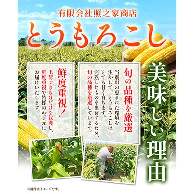 【2026年先行受付】照之家商店鮮度抜群とうもろこし10本