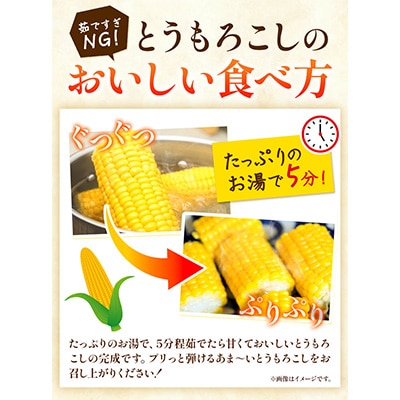 【2026年先行受付】照之家商店鮮度抜群とうもろこし10本