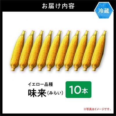 【2026年先行受付】照之家商店 鮮度抜群とうもろこし10本_tb21-006