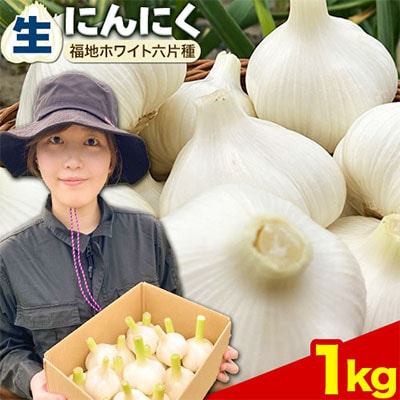 【令和8年発送先行受付】生にんにく(福地ホワイト六片種)1kg