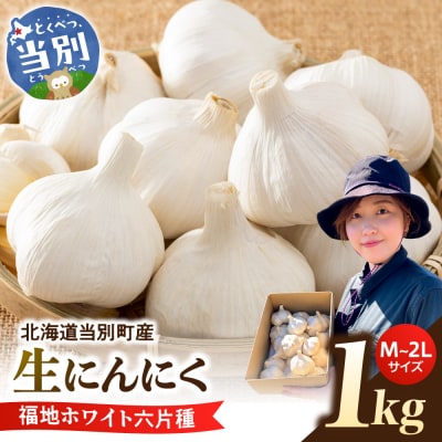 【令和9年度先行受付】生にんにく(福地ホワイト六片種)1kg_tb22-003