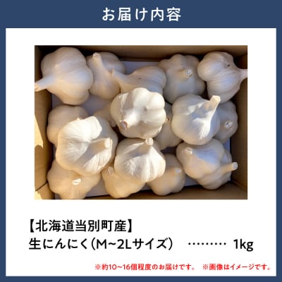 【令和9年度先行受付】生にんにく(福地ホワイト六片種)1kg_tb22-003