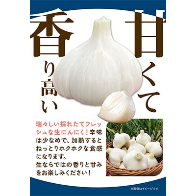 【令和8年発送先行受付】生にんにく(福地ホワイト六片種)1kg