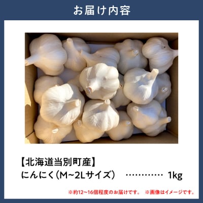 【令和8年発送先行受付】にんにく(福地ホワイト六片種)1kg_tb22-001