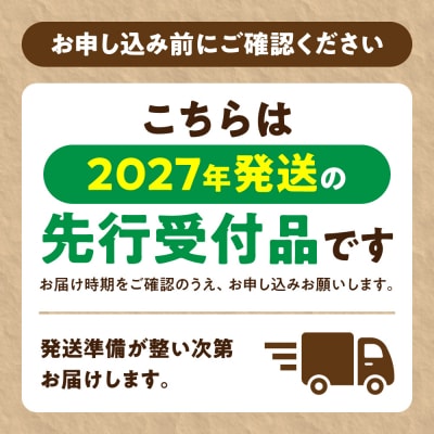 【令和9年度先行予約】にんにく(福地ホワイト六片種)1kg_tb22-001