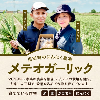 【令和9年度先行予約】にんにく(福地ホワイト六片種)1kg_tb22-001