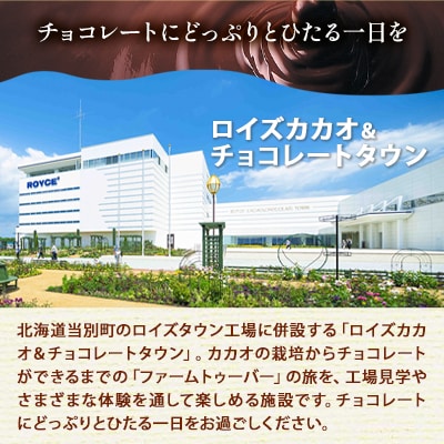 ロイズカカオ&チョコレートタウン ペア特別入場券付きROYCE’スイーツセット