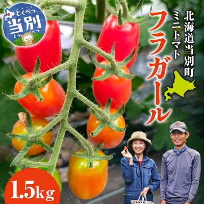 北海道当別町産化学農薬不使用ミニトマト:フラガール1.5kg_tb36-006
