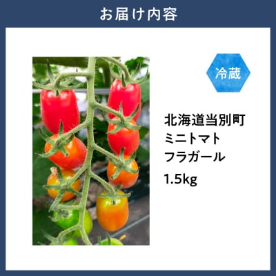 北海道当別町産化学農薬不使用ミニトマト:フラガール1.5kg_tb36-006