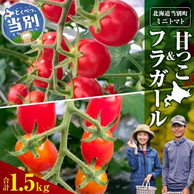 北海道当別町産化学農薬不使用ミニトマト:甘っこ750g+フラガール750g_tb36-007