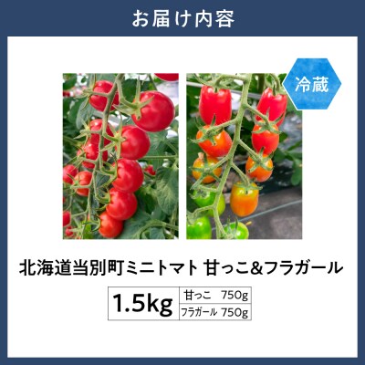 北海道当別町産化学農薬不使用ミニトマト:甘っこ750g+フラガール750g_tb36-007