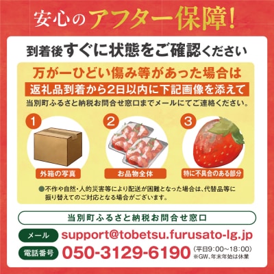 当別町産べんけべつのいちご(けんたろう)8パック_tb38-003