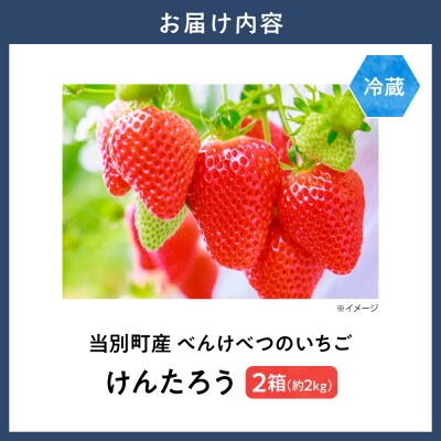 当別町産べんけべつのいちご(けんたろう)8パック_tb38-003