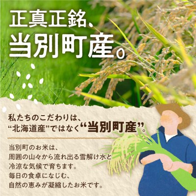 【令和8年度産先行受付】ファームふたば特別栽培米おぼろづき10kg【3か月定期便】_tb16-005