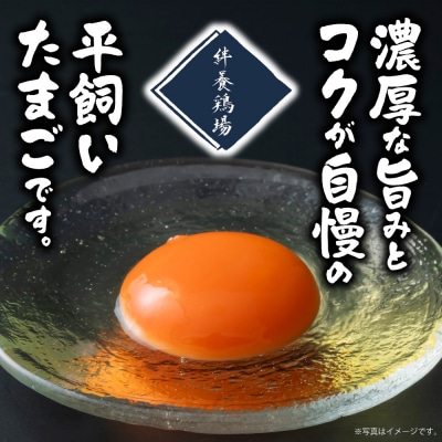 絆養鶏場 紅たまご 30個入_tb62-001