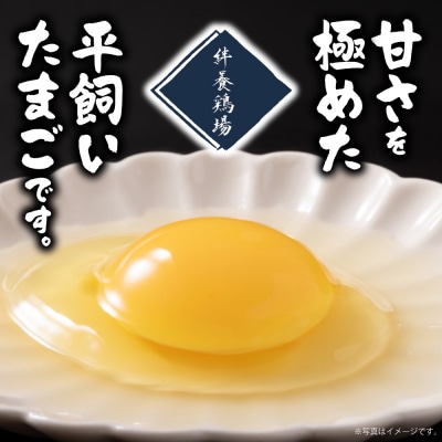 絆養鶏場 黄金卵 30個入_tb62-002